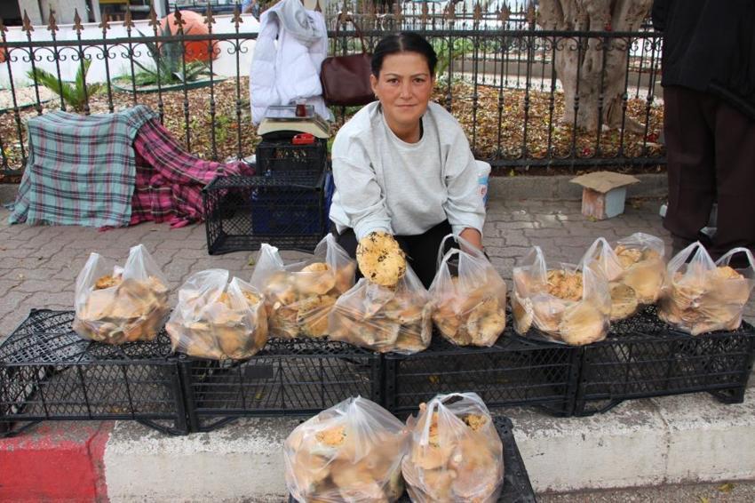 Gök gürültüsüyle birlikte ortaya çıkıyor! Kilosu 350 TL! Kapış kapış satılıyor