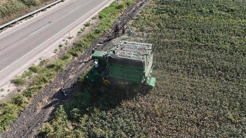 Hatay'da beyaz altın hasadı! Fiyatı 25 TL'ye kadar düştü! Çiftçi ne yapacağını bilmiyor