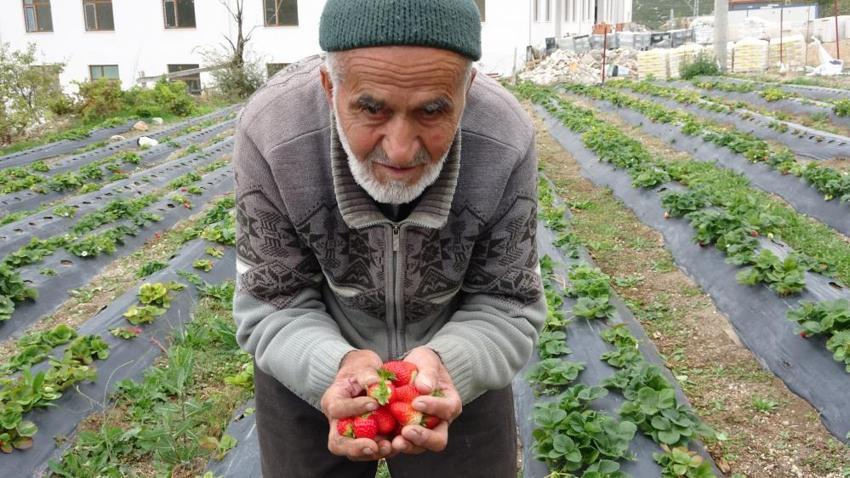 İnternette fenomen oldu, İstanbul'dan ziyaretçi akın etti: Ispartalı İbrahim Dede'den 30 yıldır misafirlerini 'Hayır Bahçesi'nde ağırlıyor