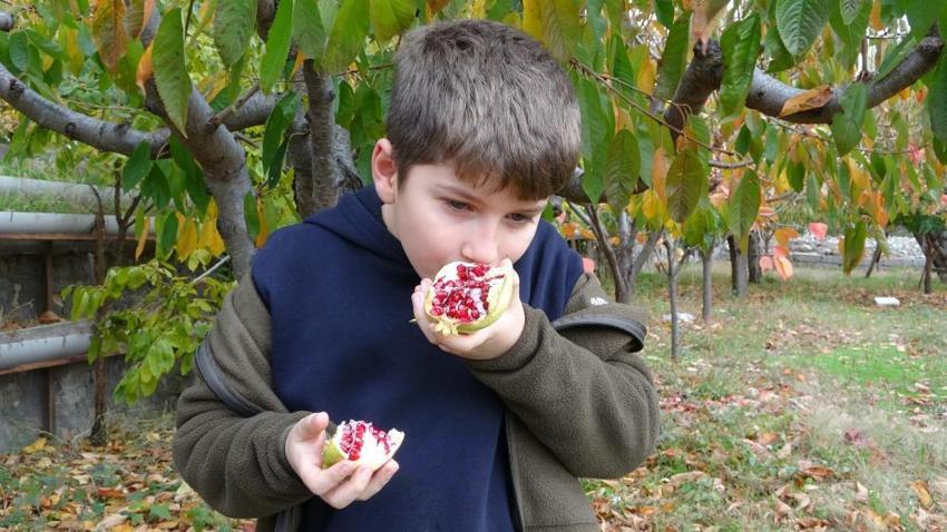 İnternette fenomen oldu, İstanbul'dan ziyaretçi akın etti: Ispartalı İbrahim Dede'den 30 yıldır misafirlerini 'Hayır Bahçesi'nde ağırlıyor