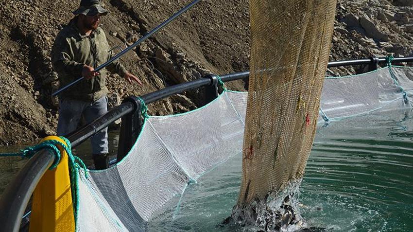 Çoruh Nehri üzerindeki barajlarda dev üretim! 67 ülkeye gönderiliyor: Bu yıllık hedef 4,5 milyar TL