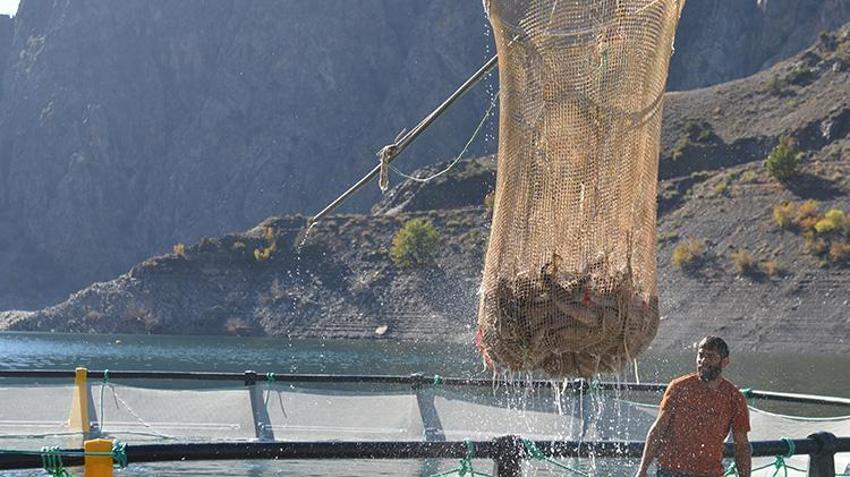 Çoruh Nehri üzerindeki barajlarda dev üretim! 67 ülkeye gönderiliyor: Bu yıllık hedef 4,5 milyar TL