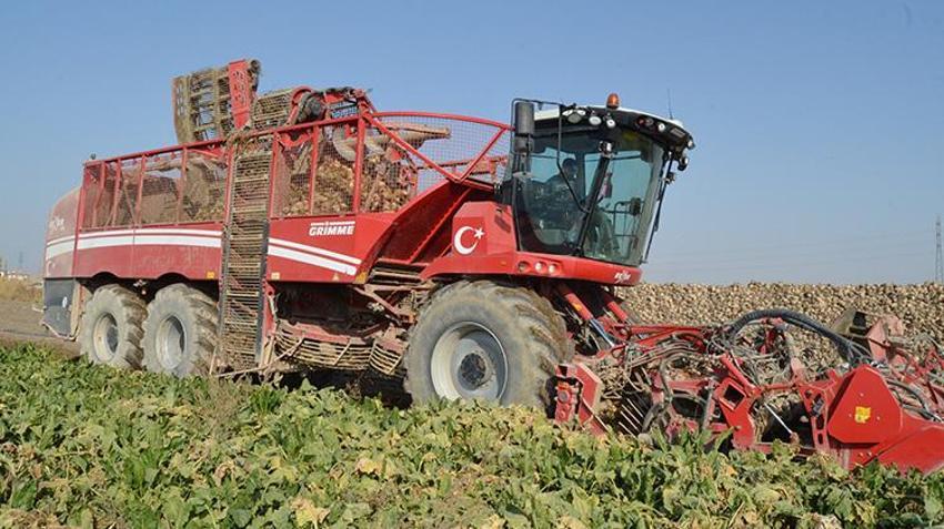 Aksaraylı çiftçi hem üründen hem de fiyattan memnun! 2 milyon 200 bin tona yakın rekolte bekleniyor