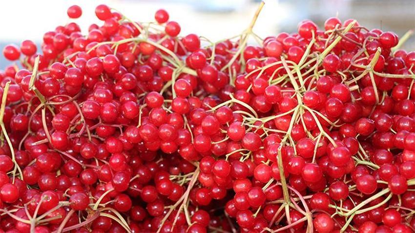 Erzincanlının 'gençlik iksiri' pazardaki yerini aldı! Kapış kapış gidiyor