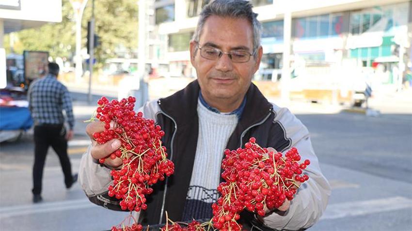 Erzincanlının 'gençlik iksiri' pazardaki yerini aldı! Kapış kapış gidiyor