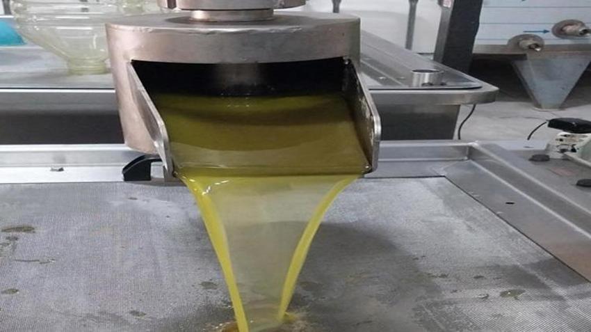 Mersin'de üretilip Fransa, Japonya ve BAE'ye gönderiliyor: Litre fiyatı 350 liraya ulaştı! Üreticinin yüzü gülüyor