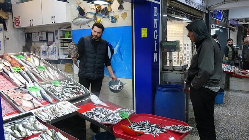 Hamsi denizlerde yüzünü gösterdi! Balık fiyatları düşecek mi?