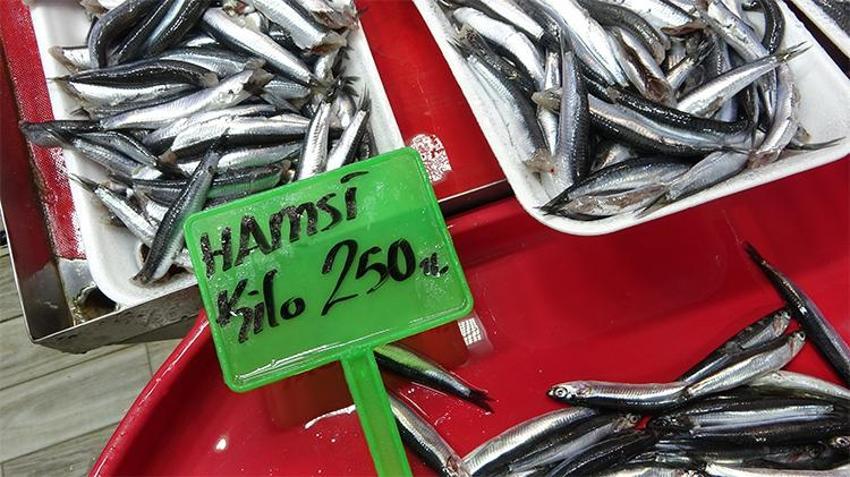 Hamsi denizlerde yüzünü gösterdi! Balık fiyatları düşecek mi?