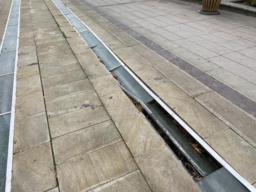 Eskişehir'in merkezinde kaderine terk edildi! Görüntüsüyle dillere düştü