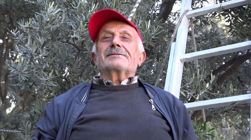 Artvin'de hasat başladı! Her yıl İstanbul'dan bu ürün için gidiyor: Çevre illerden yoğun talep