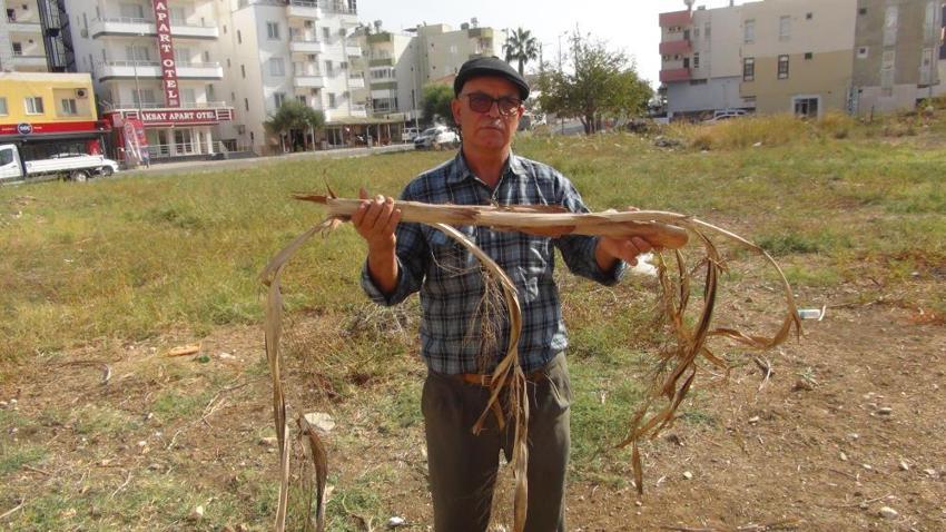 Telefonla su buluyor, suyu görünce elektrik çarpmışa dönüyor! Mersinli çiftçinin 35 yıllık gizli yeteneğini gören hayret ediyor