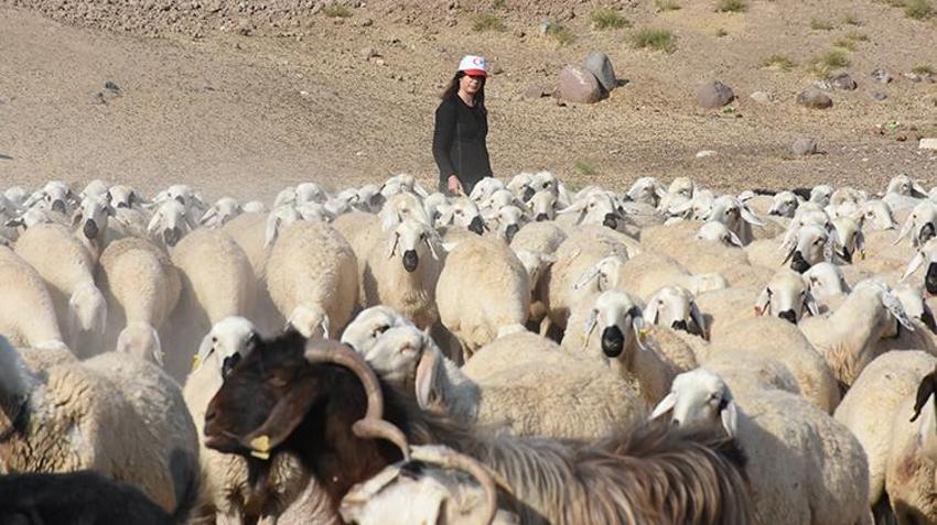 Malatyalı kadın girişimci üniversiteden mezun oldu, devlet desteğiyle köyünde iş kurdu! 3 yılda 6 katı kazanç sağladı