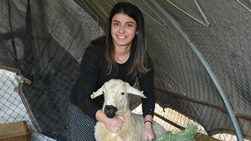 Malatyalı kadın girişimci üniversiteden mezun oldu, devlet desteğiyle köyünde iş kurdu! 3 yılda 6 katı kazanç sağladı