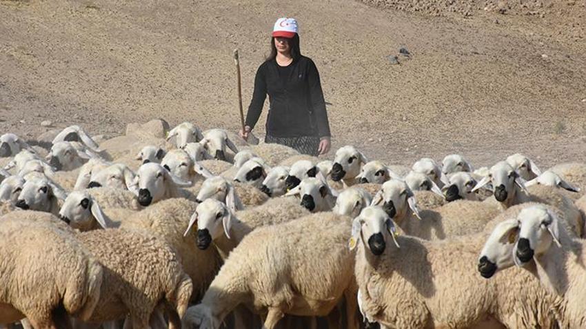 Malatyalı kadın girişimci üniversiteden mezun oldu, devlet desteğiyle köyünde iş kurdu! 3 yılda 6 katı kazanç sağladı