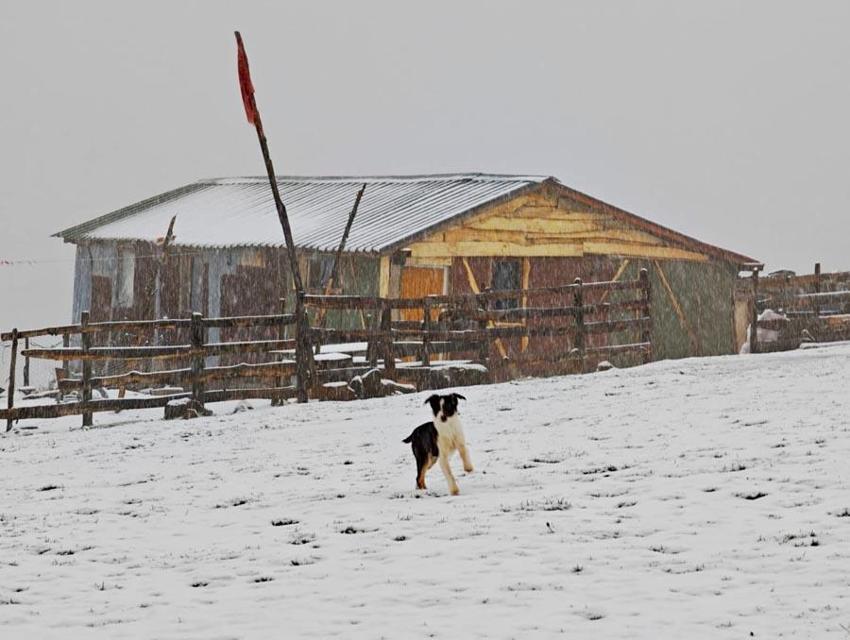 Lapa lapa kar yağışı, yağmur ve gök gürültülü sağanak yağış geliyor! Meteoroloji yeni hava durumu raporuyla illeri tek tek uyardı