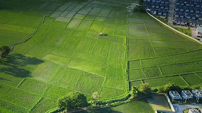 Eskişehir'de arsa ve tarla alacaklar dikkat! Son 1 yılın fiyatları belli oldu