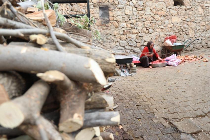 Diyarbakır'da köylüler tesadüfen keşfetti! 'Ya tutarsa' diye ektiler, hepsi topraktan çıktı