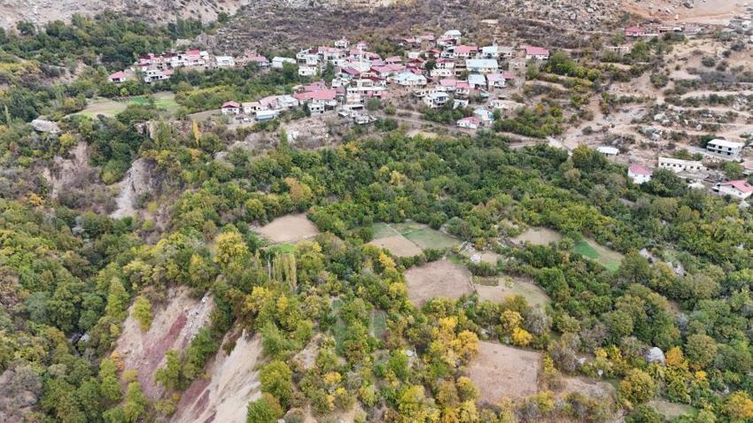 Diyarbakır'da köylüler tesadüfen keşfetti! 'Ya tutarsa' diye ektiler, hepsi topraktan çıktı