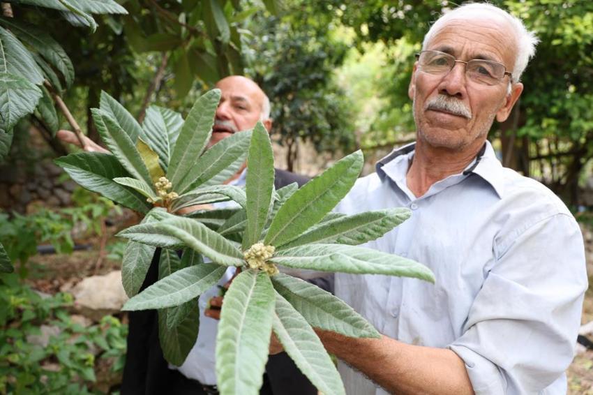 Diyarbakır'da köylüler tesadüfen keşfetti! 'Ya tutarsa' diye ektiler, hepsi topraktan çıktı