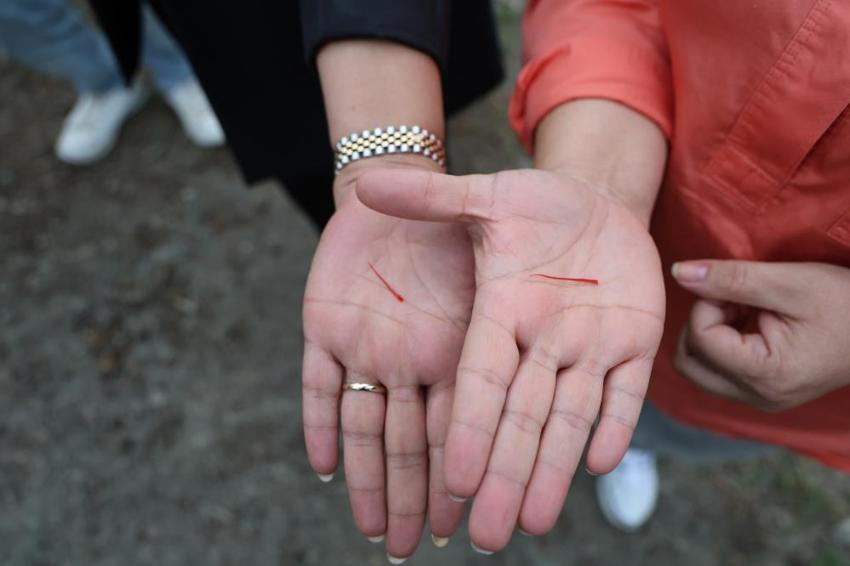 Dünyanın en pahalısı Adana'da yetiştirildi! Hasadı 45 gün sürecek: Gram fiyatı dudak uçuklattı