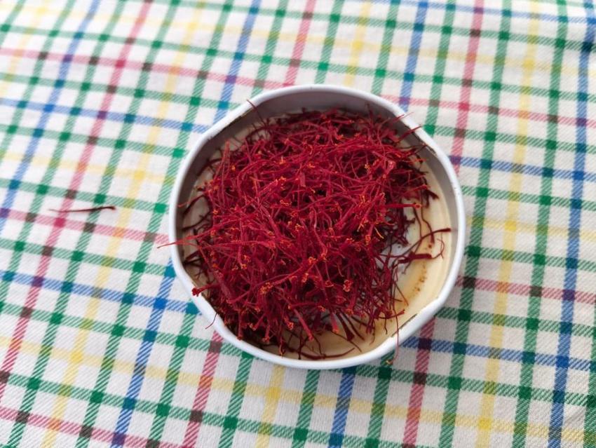 Dünyanın en pahalısı Adana'da yetiştirildi! Hasadı 45 gün sürecek: Gram fiyatı dudak uçuklattı