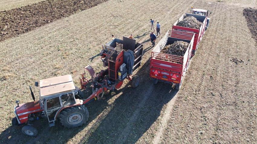 Yozgat Sorgun'da mesai tam gaz devam ediyor: 6 aylık emek bitmek üzere, şimdiden kilometrelerce kuyruk oluştu