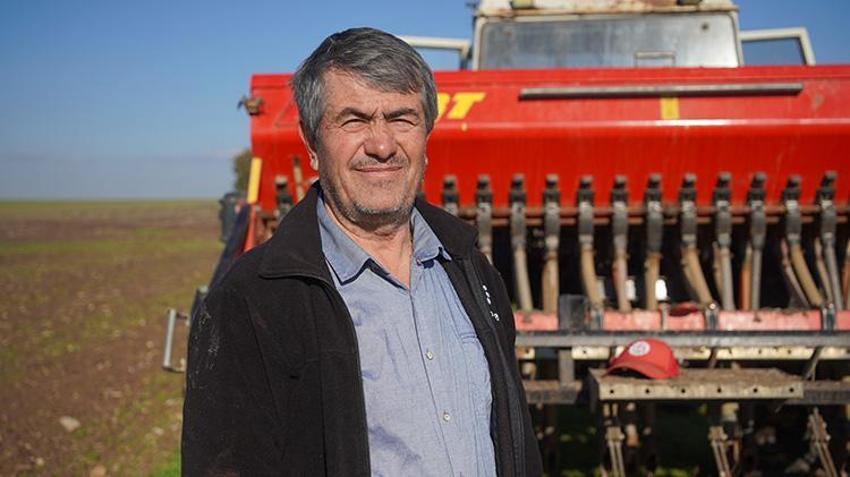 Edirne'de yüzler güldü: Yağmurlar geldi, kanola tarlaları yeşerdi! Yüzde 30 oranında artış var