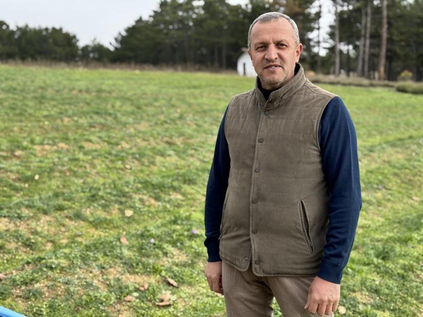 Kilosu 600 Bin TL!: Soğuk ve yağışlı hava altın baharatın hasadını 10 gün uzattı!