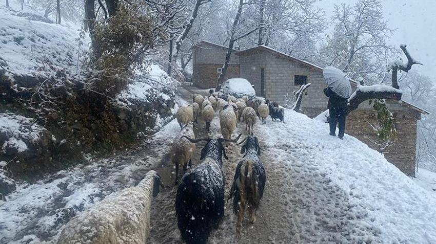 Van'da Karabet Geçidi'nde kar yağışı etkili oldu! Kar kalınlığı 15 santimetreye kadar ulaştı