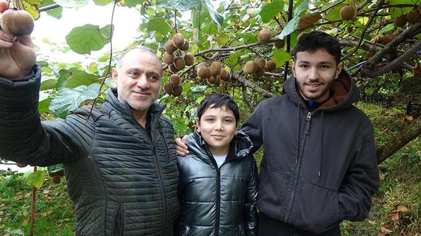 İran kivisi Trabzon'u vurdu: Fiyatlar dibi gördü! Hasada başlayan üretici şikayetçi