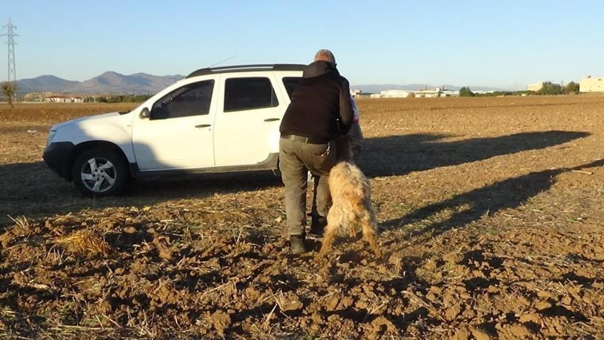 Uşak'ta 4 metrelik çukura düşen keçiyi itfaiye kurtardı!
