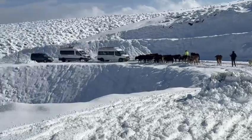 Kar yağışı başladı, her yer beyaza büründü! 20 santimetreyi aştı, kar etkisi sürecek