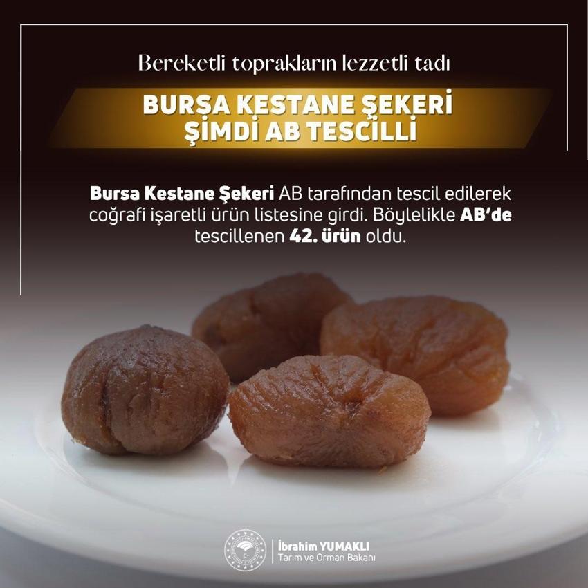 Bursa ve Edirne'nin ürünleri Avrupa'da tescillendi! Bakan Yumaklı müjdeli haberi açıkladı