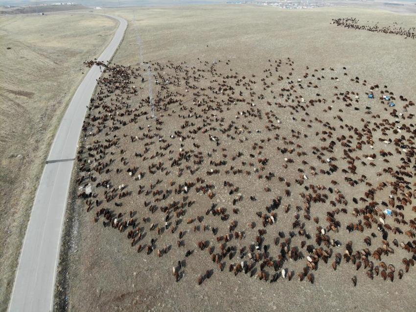 Van'da sonbahar bir başka! Kartpostallık görüntüler oluştu