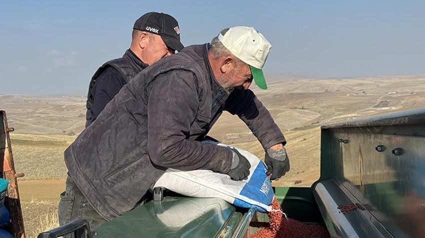 Yozgat'ta yağış gecikince ekim de gecikti! Buğday ekimi kasım ayının ortasında başladı