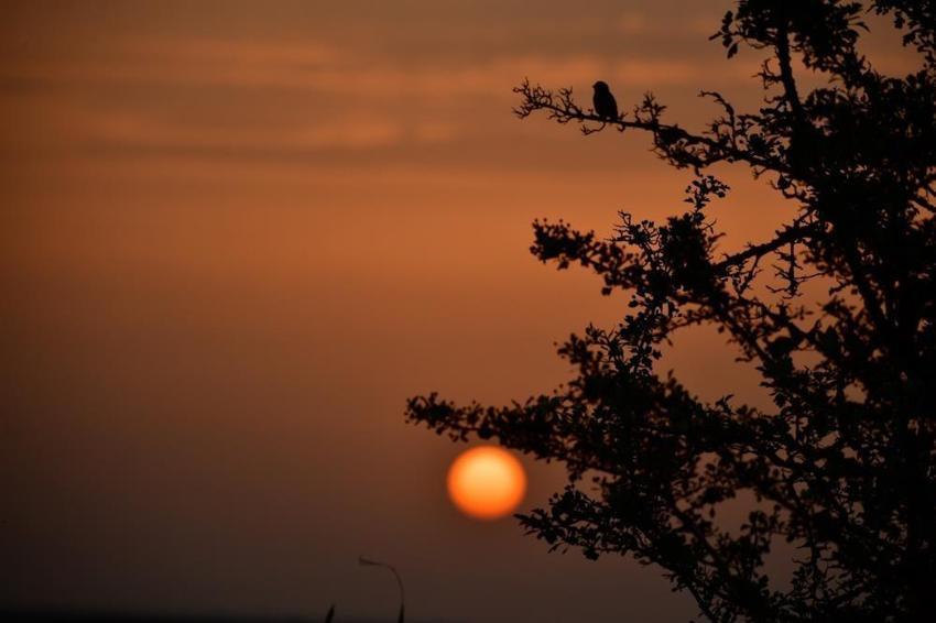 Samsun'da Kuş Cenneti'ne sonbahar geldi! Gören büyüleniyor