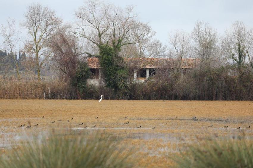 Samsun'da Kuş Cenneti'ne sonbahar geldi! Gören büyüleniyor