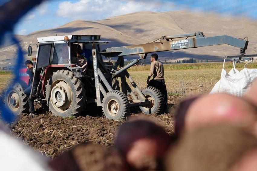 Bayburt'ta patates hasadını İranlılar yapıyor! Kilosu 12 TL'ye gidiyor
