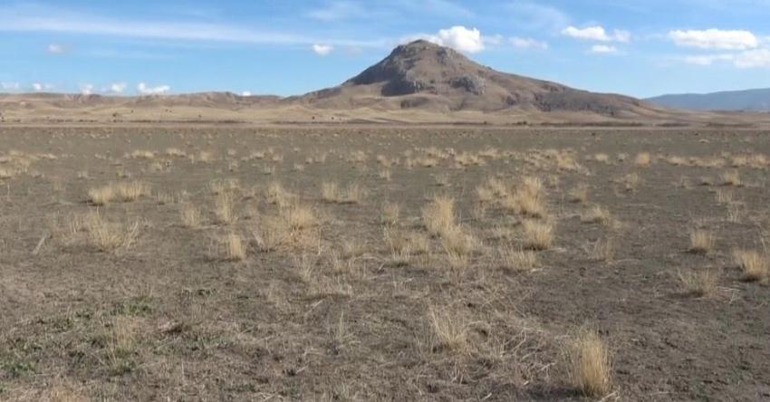 Burdur da kuraklığa yenik düştü! Yüzlerce kuş türüne ev sahipliği yapıyordu