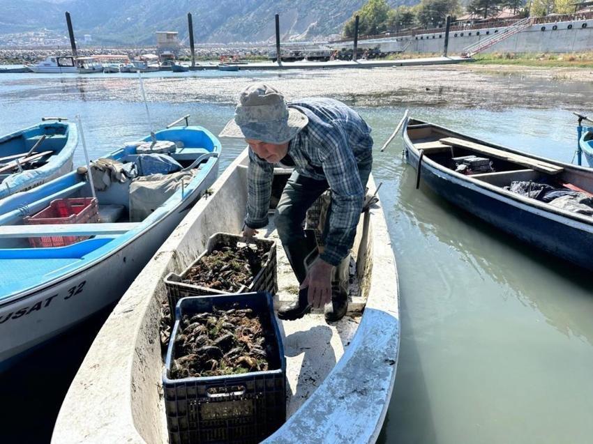 Isparta'da Kerevit yasağı başladı! 15 Haziran'a kadar sürecek