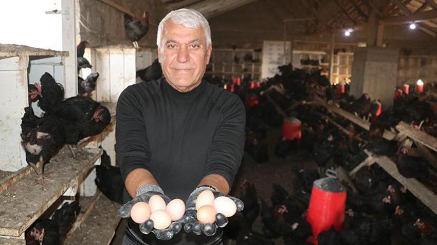 İsviçre'de 40 yıl çalıştıktan sonra köyüne dönüp yatırım yaptı! Yozgat'ta 5 bin kapasiteli çiftlik kurdu