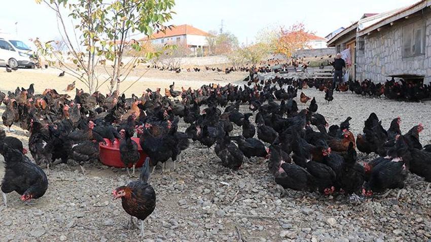 İsviçre'de 40 yıl çalıştıktan sonra köyüne dönüp yatırım yaptı! Yozgat'ta 5 bin kapasiteli çiftlik kurdu