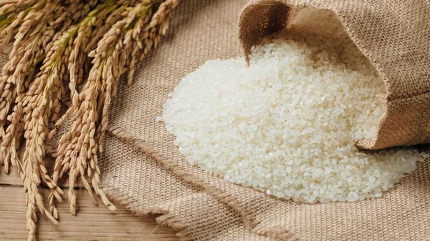 İpsala pirincine AB’den tescil geldi: Avrupa pazarında hızla yerini alacak!