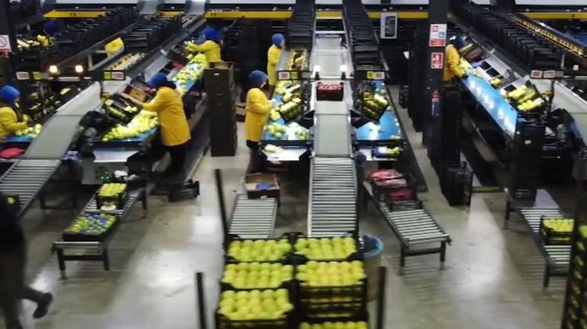 2 dağ arasında 50 çeşit üretiliyor! Dünyada 1 numara! Hasat bitti, üreticinin yüzü gülüyor