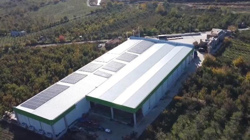 2 dağ arasında 50 çeşit üretiliyor! Dünyada 1 numara! Hasat bitti, üreticinin yüzü gülüyor