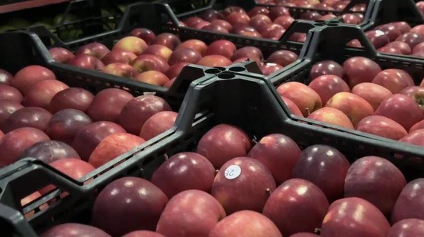 2 dağ arasında 50 çeşit üretiliyor! Dünyada 1 numara! Hasat bitti, üreticinin yüzü gülüyor