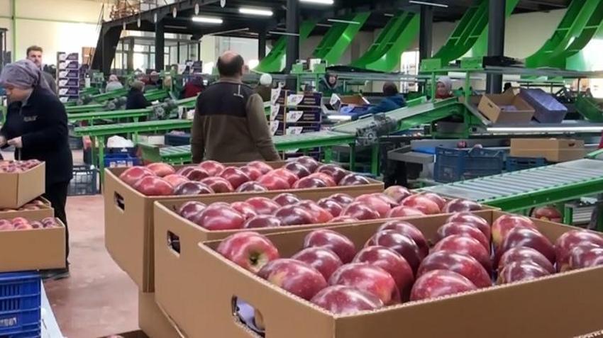 2 dağ arasında 50 çeşit üretiliyor! Dünyada 1 numara! Hasat bitti, üreticinin yüzü gülüyor