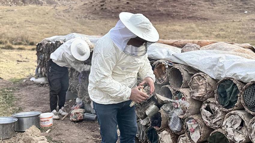 Osmanlı saray lezzeti olarak biliniyor! Yılın son hasadı başladı, rekolte her yıl artıyor!