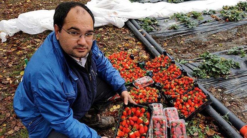 Erzincan'da yüksek rakımda şaşırtan manzara! Kasım ortasında devam ediyor, hedef aralık 20'si: 'Görenler şaşırıyor'