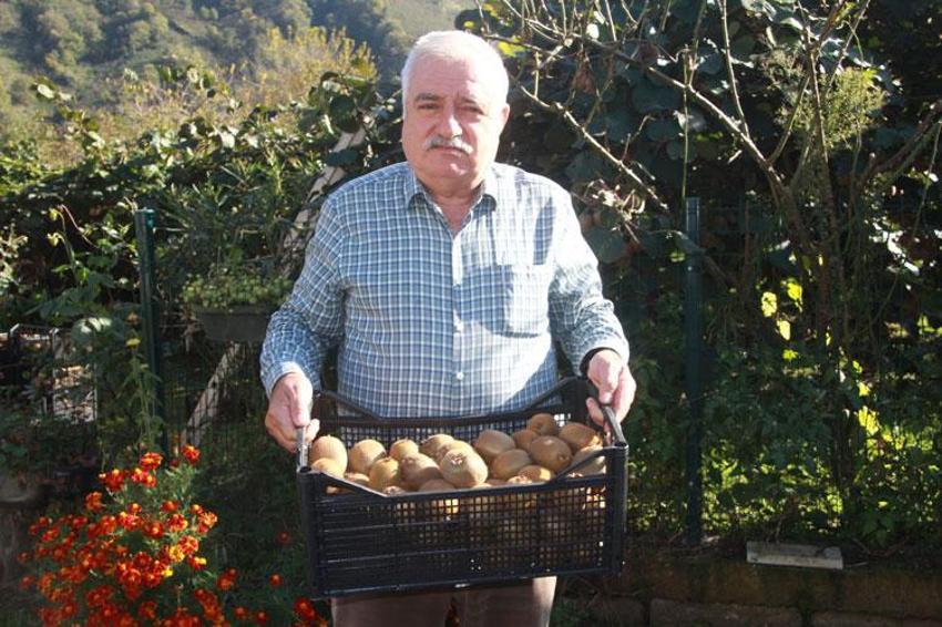 Rekolte hedefi 6 bin 200 ton! Ordu'dan ekonomiye 500 milyon TL'lik dev katkı